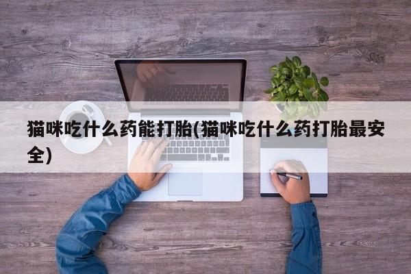 卖打胎药的联系方式或微信猫咪吃什么药能打胎(猫咪吃什么药打胎最安全)