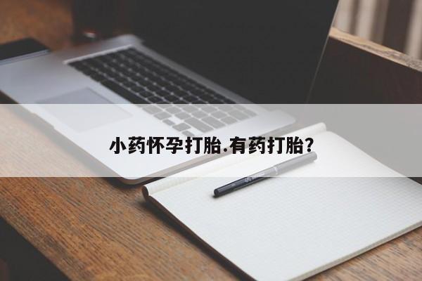 卖打胎药的联系方式或微信小药怀孕打胎.有药打胎？