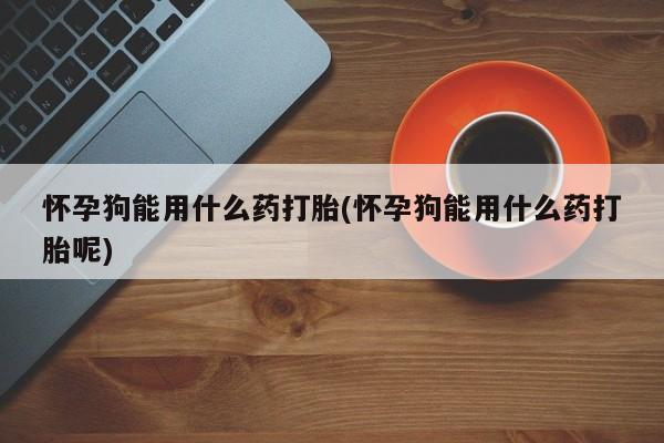 卖打胎药的联系方式或微信怀孕狗能用什么药打胎(怀孕狗能用什么药打胎呢)