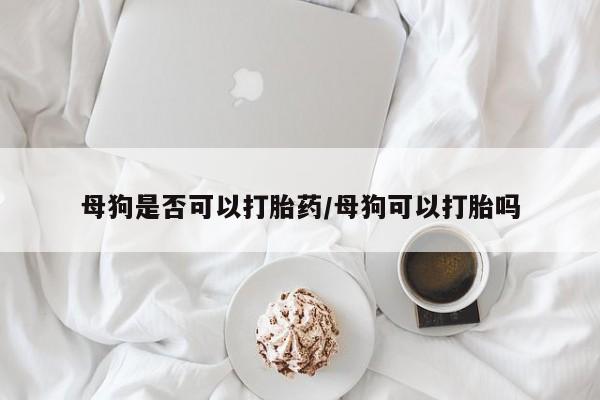 卖打胎药的联系方式或微信母狗是否可以打胎药/母狗可以打胎吗